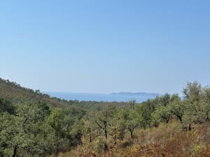 Entre terre et mer, du côté de Bregancon - Bormes-les-Mimosas - 18