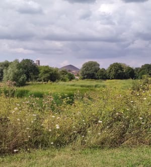 Meren- en slakkenbergencircuit - Montigny-en-Gohelle - 34