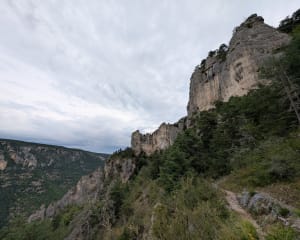 Baus del Biel et sentiers balcon sur le Tarn - Saint-Pierre-des-Tripiers - 14