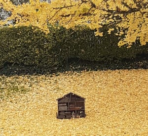 Balade autour des champs de Nanteuil-lès-Meaux - Nanteuil-lès-Meaux - 7