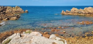 Bréhat, île aux fleurs et paradis micro-méridional - île-Bréhat - 50