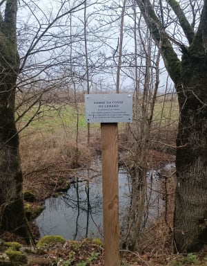 Promenade à Replonges, par Rippe Neuve - Crottet - 3