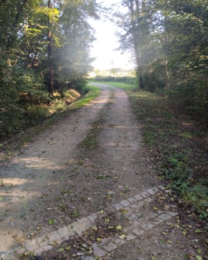 Chemin de Griesbach depuis Gundershoffen - Gundershoffen - 10