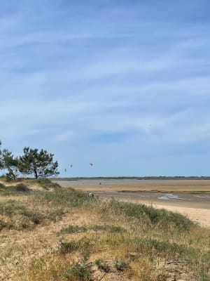 De Ronce-les-bains à la Palmyre - La Tremblade - 3