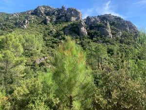 Le Cirque de Mourèze - Mourèze - 97