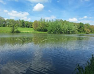 Les berges d'Ayron et Etang de Fleix - Ayron - 6