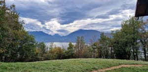Balade en forêt et vue sur le lac d'Annecy - Annecy - 21