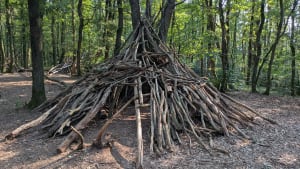 Het bos van Serres en zijn hutten - Dardilly - 5