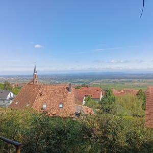 Châteaux alsaciens depuis Husseren-les-Châteaux - Audrey - 16