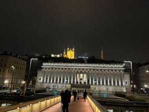 Un jour férié pour Lyon - Lyon - 9