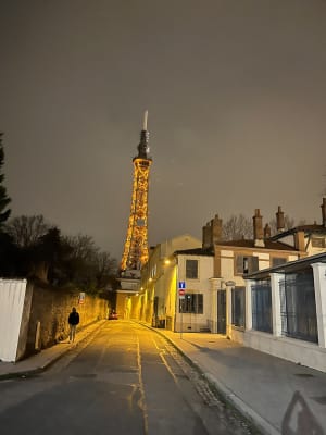 Un jour férié pour Lyon - Lyon - 10