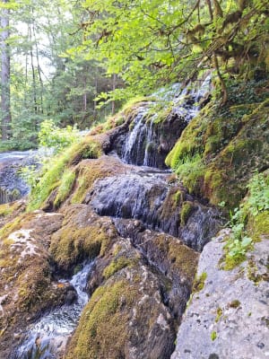 Wandel naar de Pissieu-waterval - Le Châtelard - 19