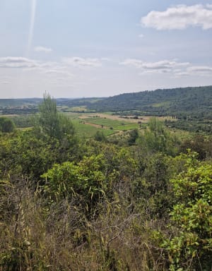 Les Clapas à Saint-Chinian - Saint-Chinian - 5