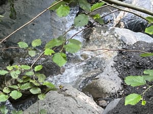 Autour de Venosc - Corinne - 4