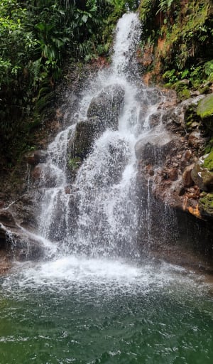 Boucle Bassin bleu - Cascade Parabole - Gourbeyre - 11
