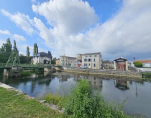 Balade dans le Marais, de Niort à Coulon - Niort - 9