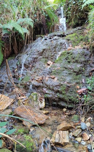 Au fil de l'eau de Laroque-des-Albères - Laroque-des-Albères - 50