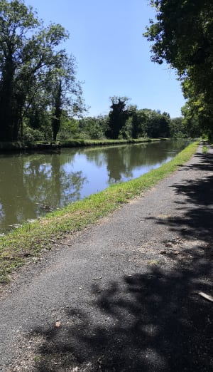 Bords du canal Châlette-sur-Loing... Nargis - Châlette-sur-Loing - 8
