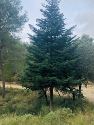 Randosansan dans les Alpilles - Christian - 2