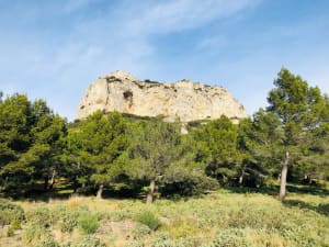Randosansan dans les Alpilles - Saint-Rémy-de-Provence - 3
