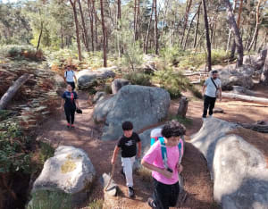De Bois-le-Roi à Fontainebleau - Bois-le-Roi - 7