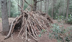 Boucle sur le sentier des Portalas - Bonnieux - 16