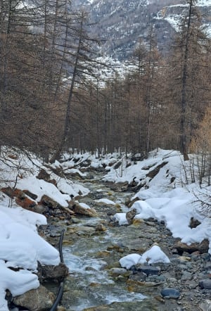 Excursion hivernale vers le Grand Tabuc et La Selle - Le Monêtier-les-Bains - 3