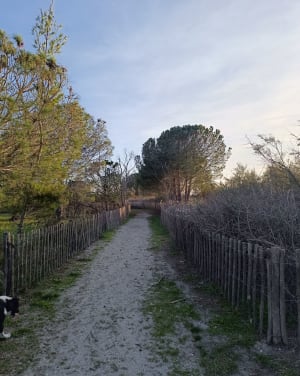 Rustige en mooie wandeling naar de Salses-vijver in Leucate - Saint-Laurent-de-la-Salanque - 15
