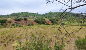 Balade de Cessenon à Coumiac - Cessenon-sur-Orb - 4