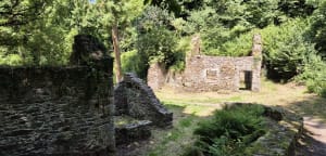 La vallée du Moulin de la Mer - Matignon - 24