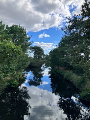 Tour du petit lac à Biscarosse - Biscarrosse - 7