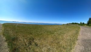 Tour du lac et dans la forêt d'Orient - La Villeneuve-au-Chêne - 6