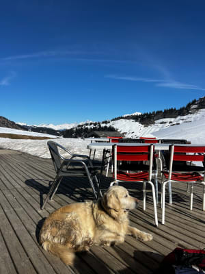 Col de l’Arpettaz et vue sur le Mont Charvin - Alexandra - 4