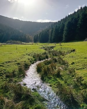 Le lac de Payolle - Ancizan - 8