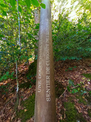 Quéven - Circuit du Scave au Scorff - Quéven - 10