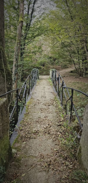De Chassagny-brug - Chassagny - 7