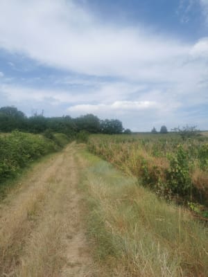 Vianne, une bastide sur la Baïse - Montgaillard (Vianne) - 12