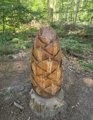 Forêt de Montfort-sur-Risle et le sentier de découvertess - Montfort-sur-Risle - 7