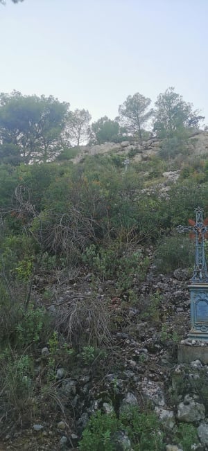 Notre-dame de Nazareth à Saint-Chinian - alice - 17