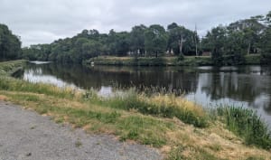 La boucle du barrage Potinais - Bains-sur-Oust - 2
