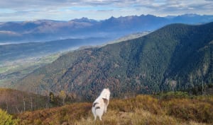 Balade en Maurienne et sentier des crêtes - MAEVA - 16