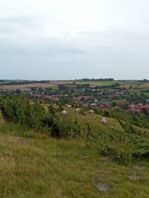 Virée verdoyante entre Elnes et Wavrans-sur-l'Aa - Wavrans-sur-l'Aa - 4