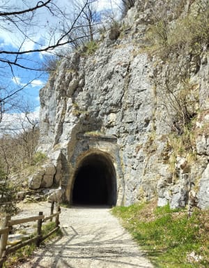 Etre saisi par les gorges de la Saine et de la Langouette - Les Planches-en-Montagne - 22