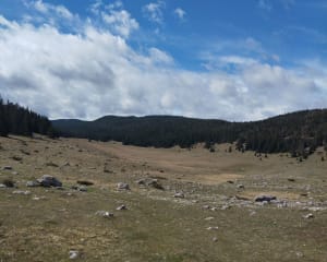 Corrençon-en-Vercors et hauts plateaux par le GR® 91 - Corrençon-en-Vercors - 3