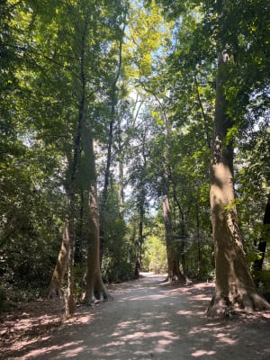 Promenade des Bugadières à Villeneuve-Loubet - Villeneuve-Loubet - 6