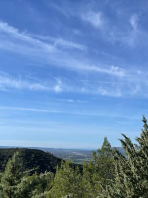 La Durance et le Bois de Sainte-Croix - Charleval - 10