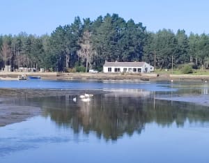 La ria d'Etel, entre sous-bois et bras de mer - Locoal-Mendon - 4