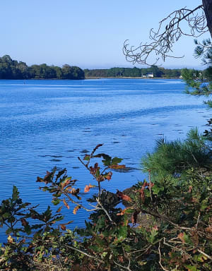 La ria d'Etel, entre sous-bois et bras de mer - Locoal-Mendon - 5