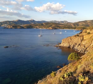 Sentier du littoral de Port vendre - Port-Vendres - 16