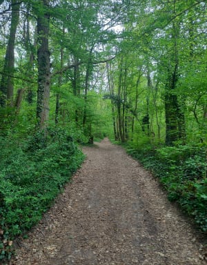 La Vallée du Sausseron - Butry-sur-Oise - 17